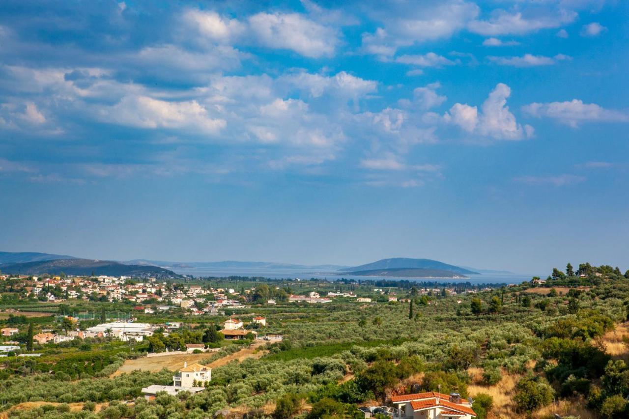 Aeolus Luxury Apartment - I Nauplion Buitenkant foto